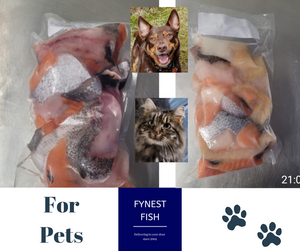 🐾Frozen Fish trimmings for pets🐾