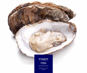 Oyster