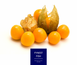 Physalis