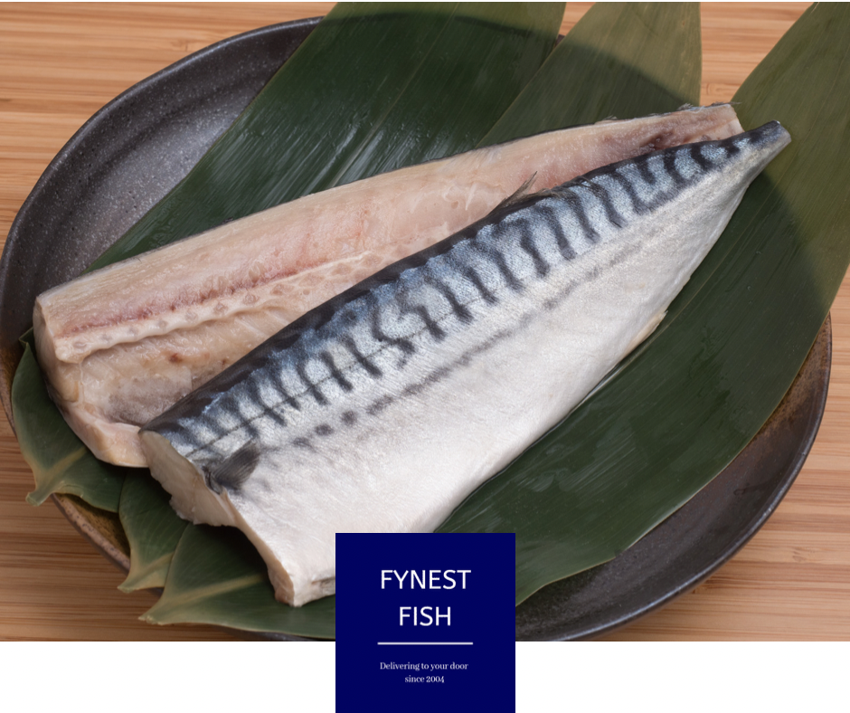 Mackerel Fillets