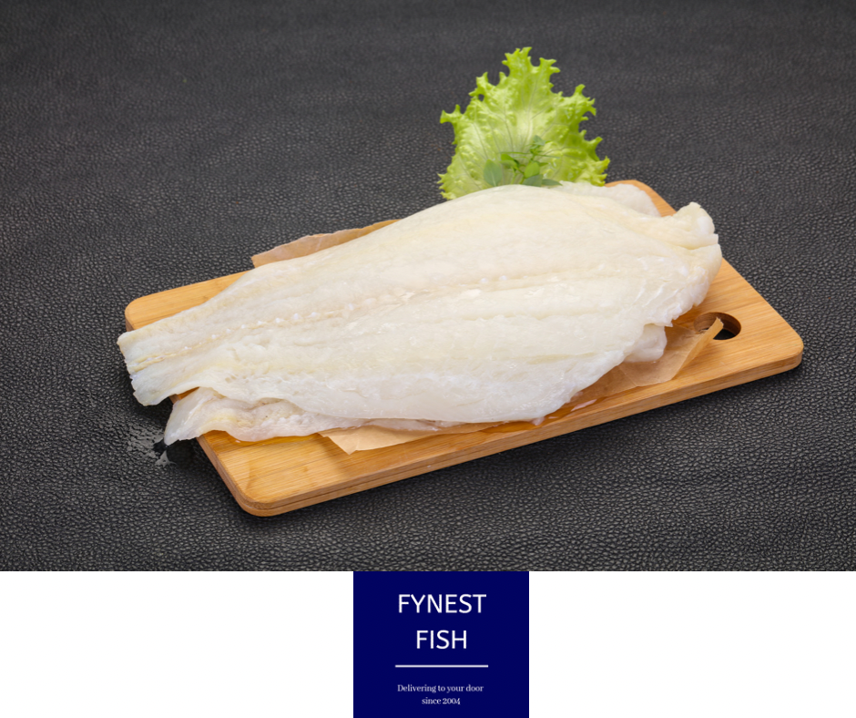 Halibut Fillets x2