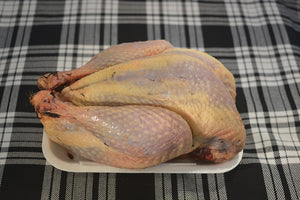 Pheasant Oven Ready (frozen)